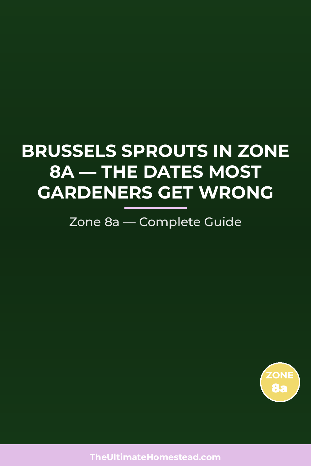 When to Plant Brussels Sprouts in Zone 8a
