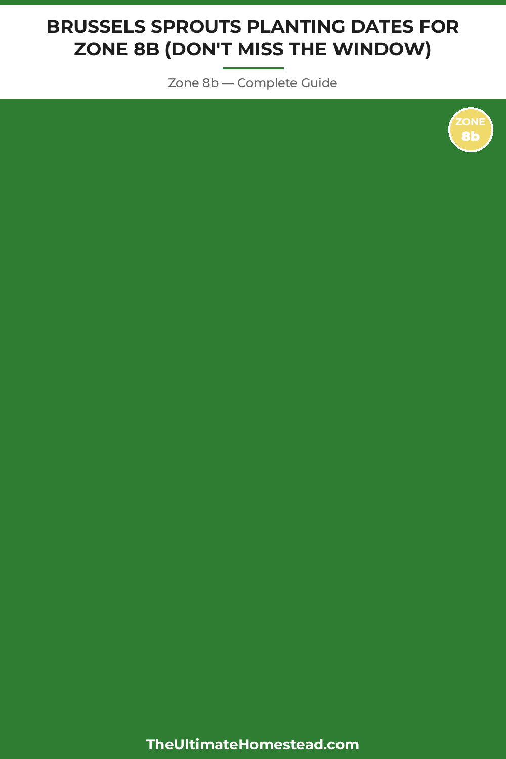 When to Plant Brussels Sprouts in Zone 8b