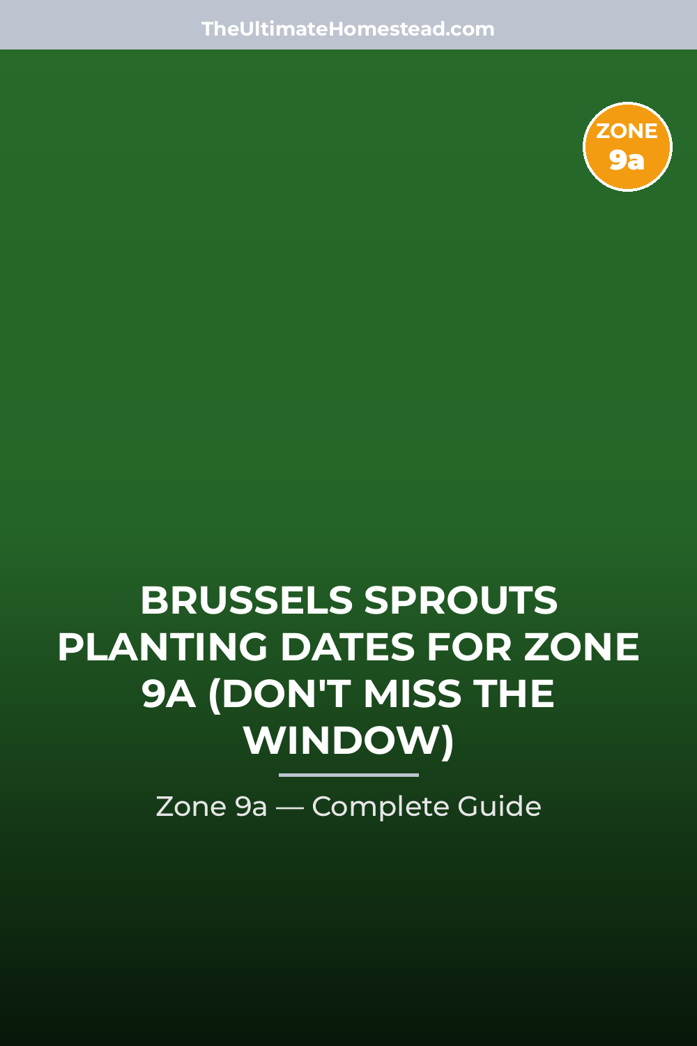 When to Plant Brussels Sprouts in Zone 9a