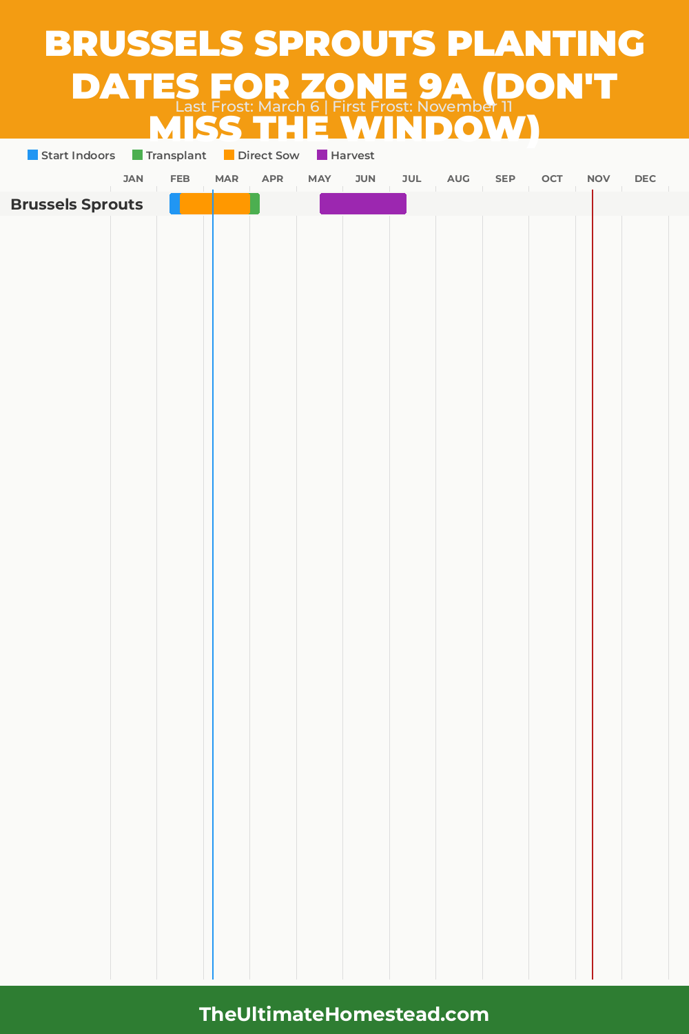When to Plant Brussels Sprouts in Zone 9a