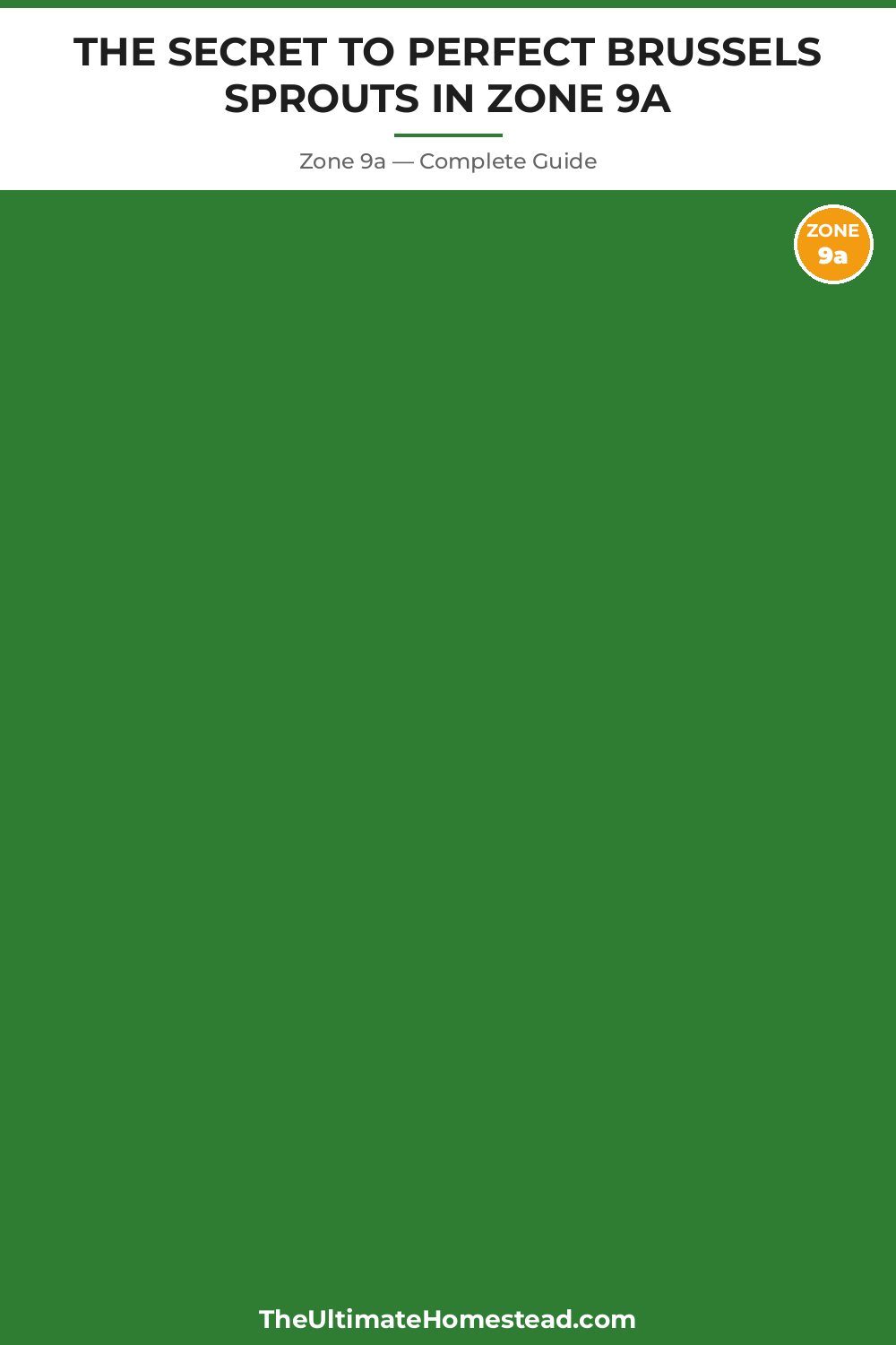 When to Plant Brussels Sprouts in Zone 9a