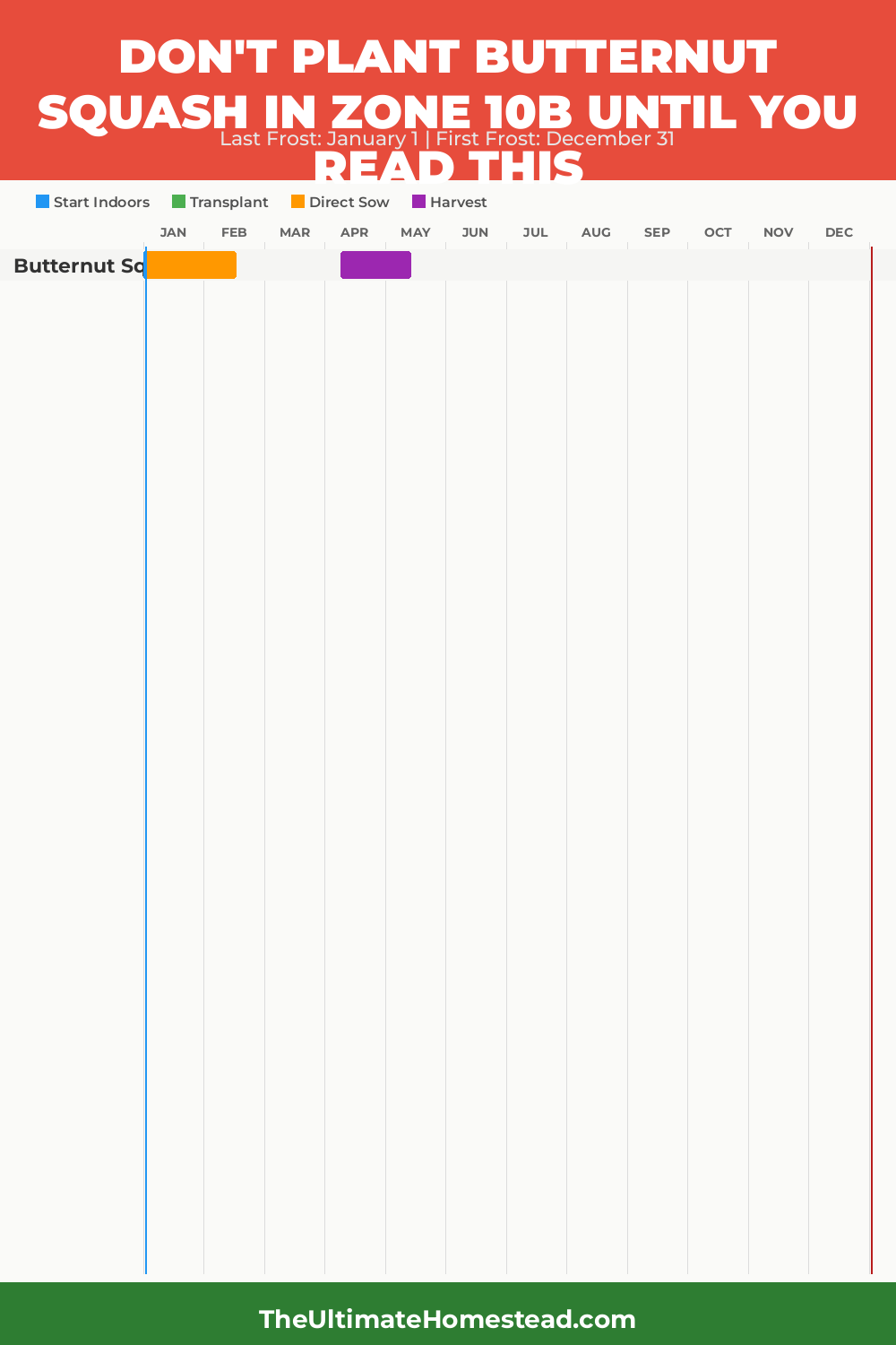When to Plant Butternut Squash in Zone 10b