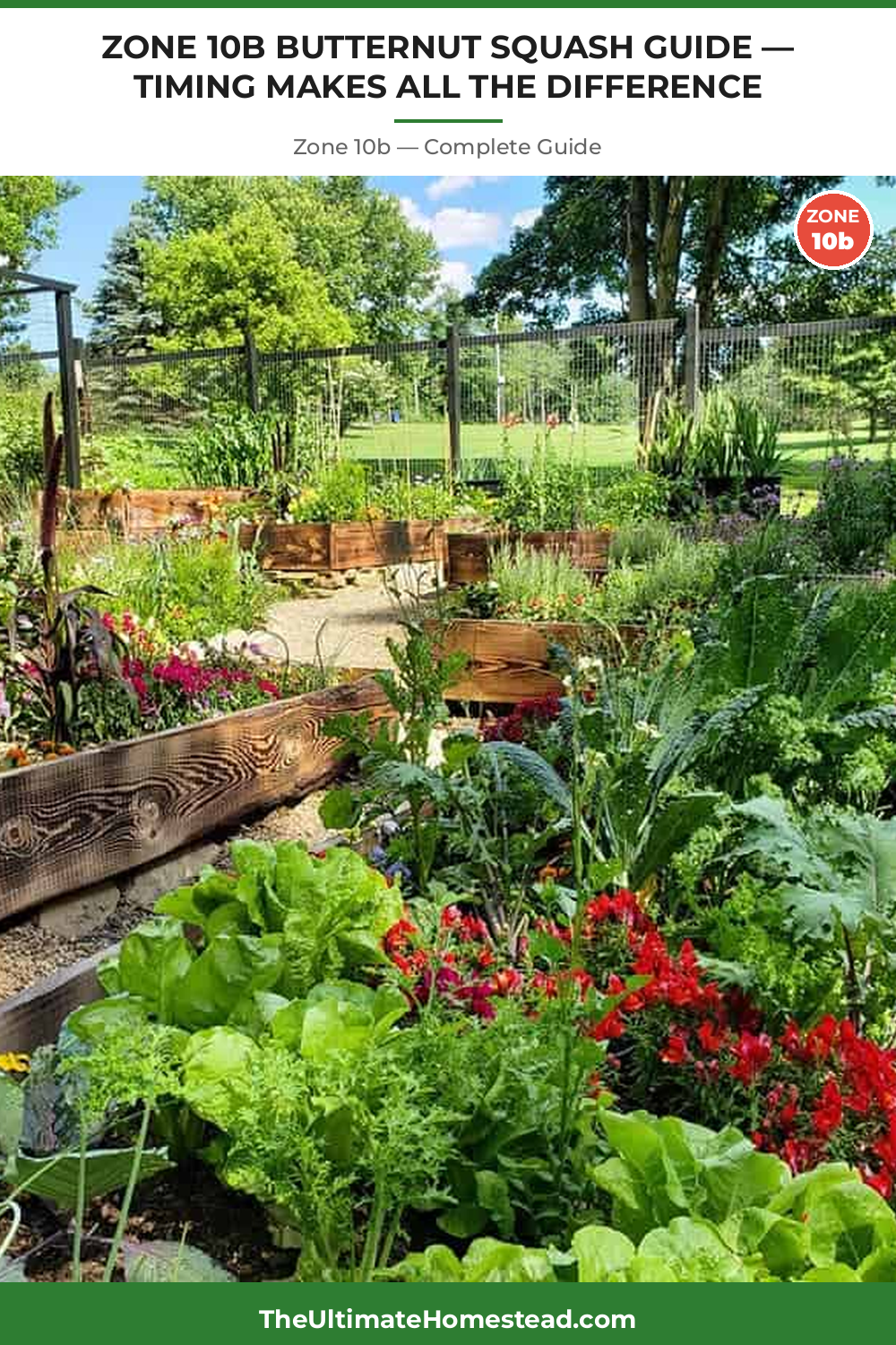 When to Plant Butternut Squash in Zone 10b