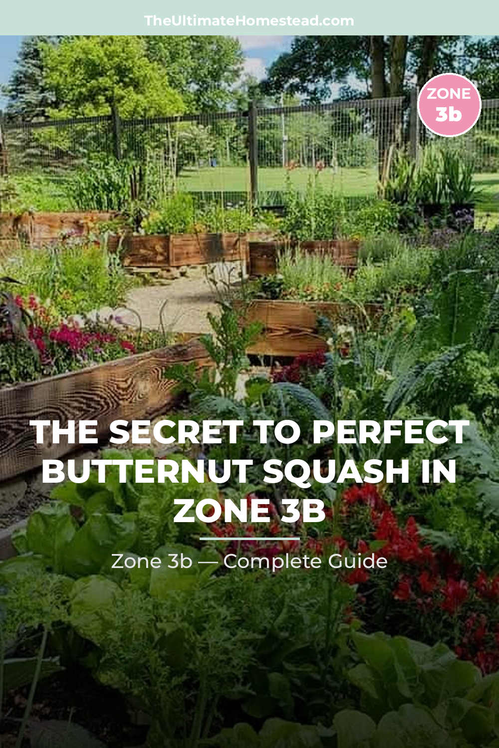 When to Plant Butternut Squash in Zone 3b