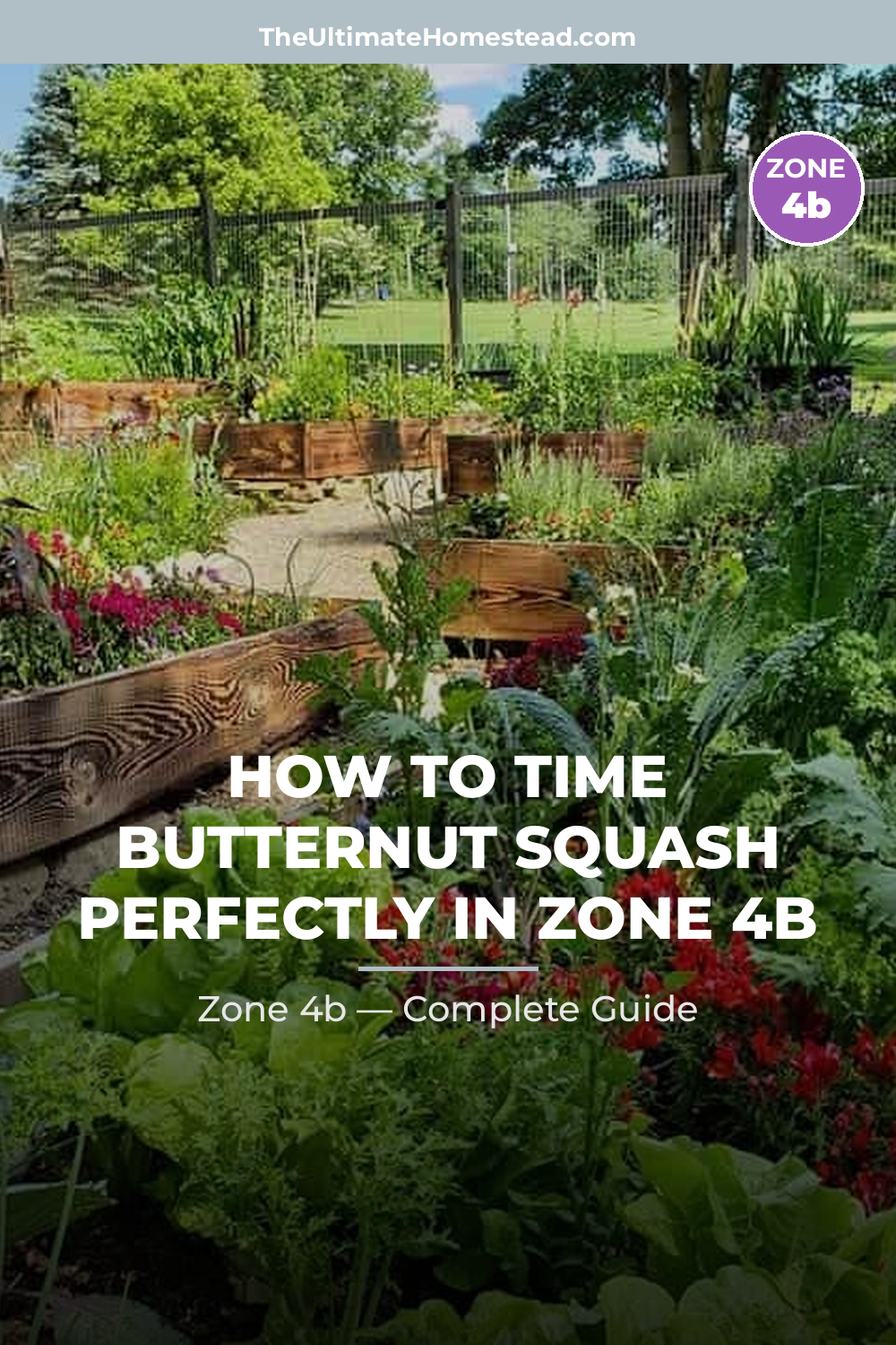 When to Plant Butternut Squash in Zone 4b