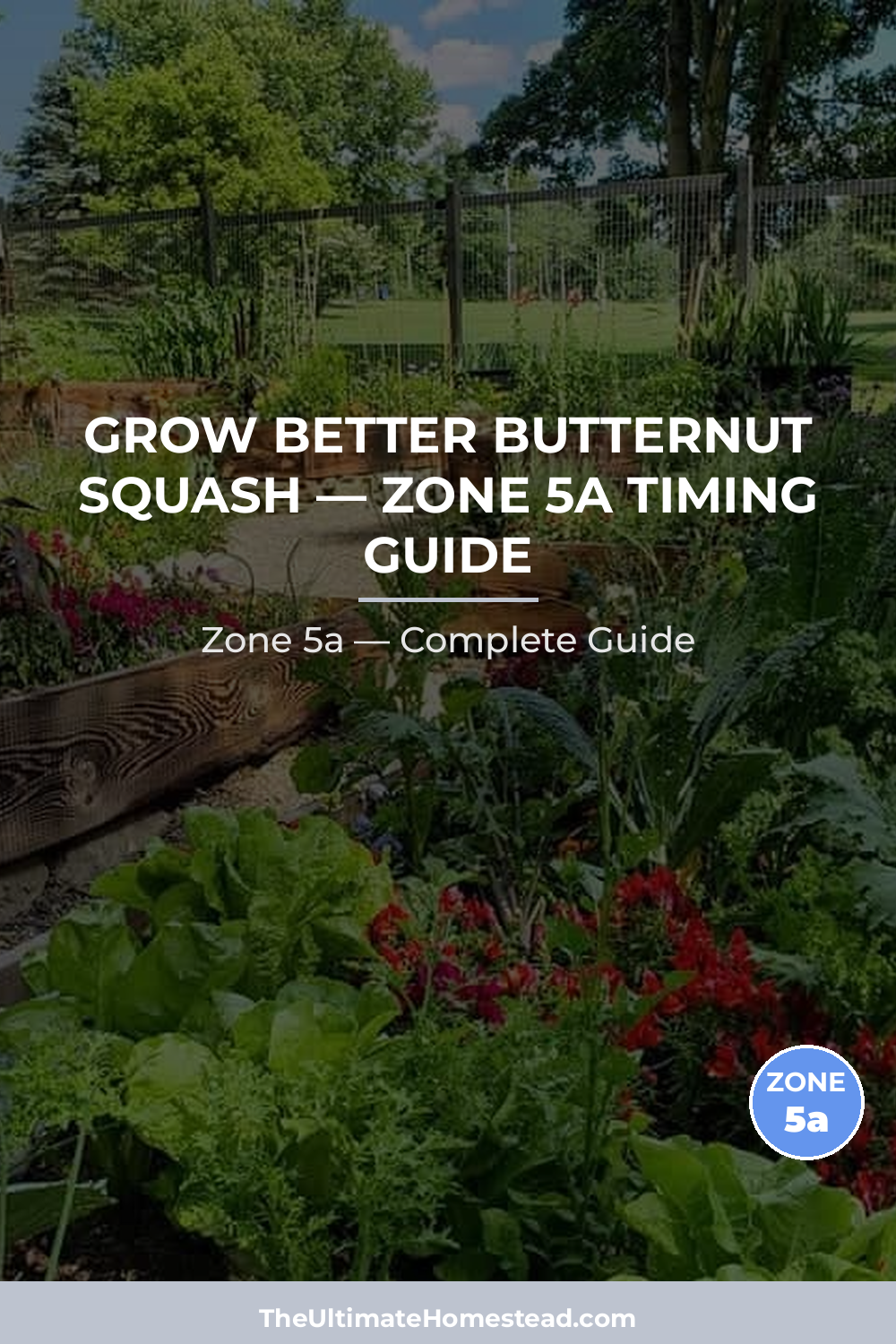 When to Plant Butternut Squash in Zone 5a