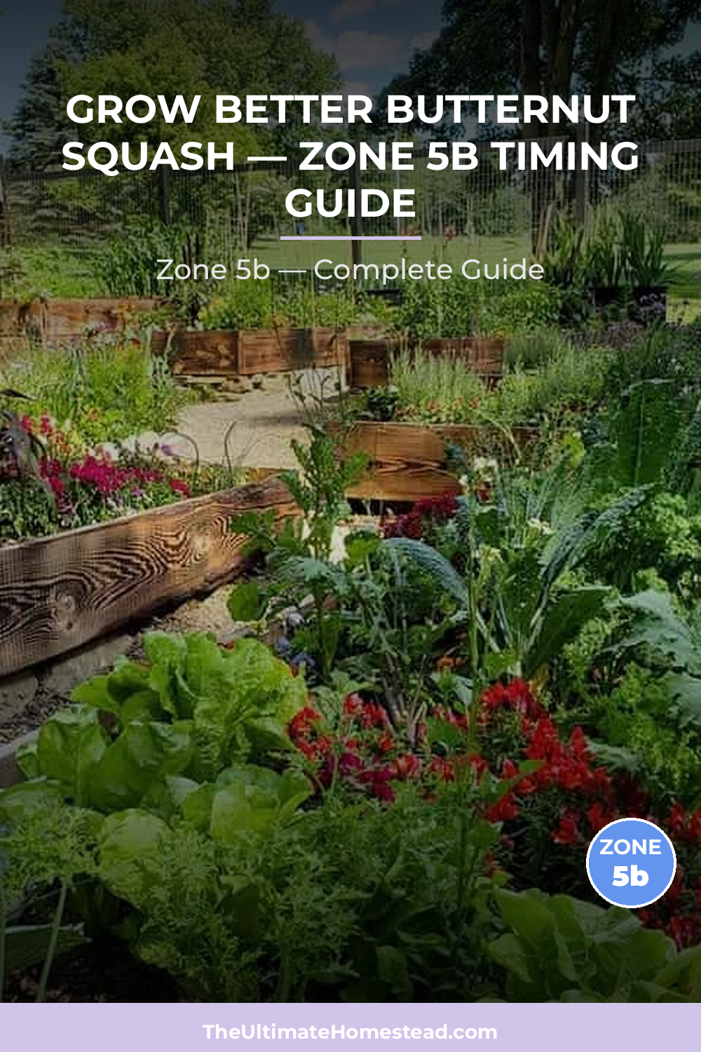 When to Plant Butternut Squash in Zone 5b