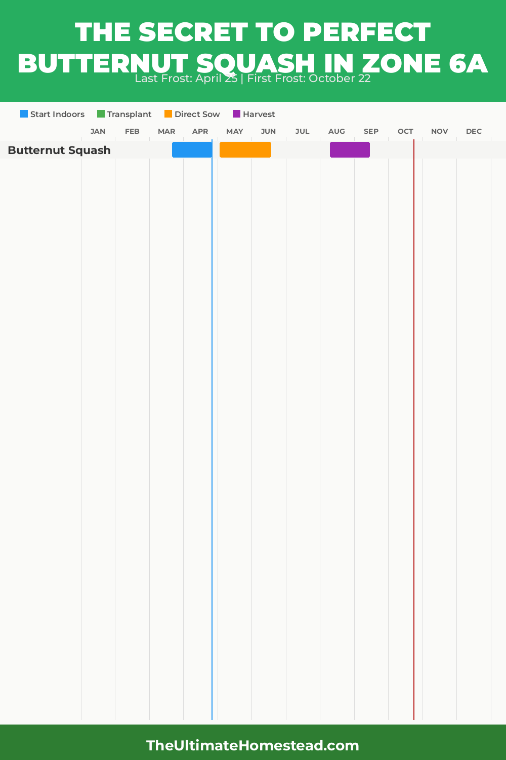 When to Plant Butternut Squash in Zone 6a