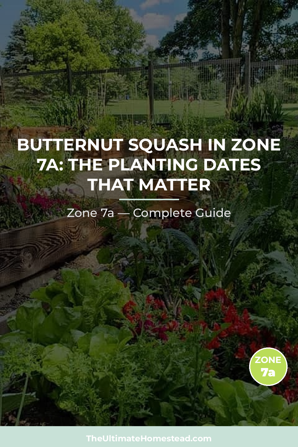 When to Plant Butternut Squash in Zone 7a