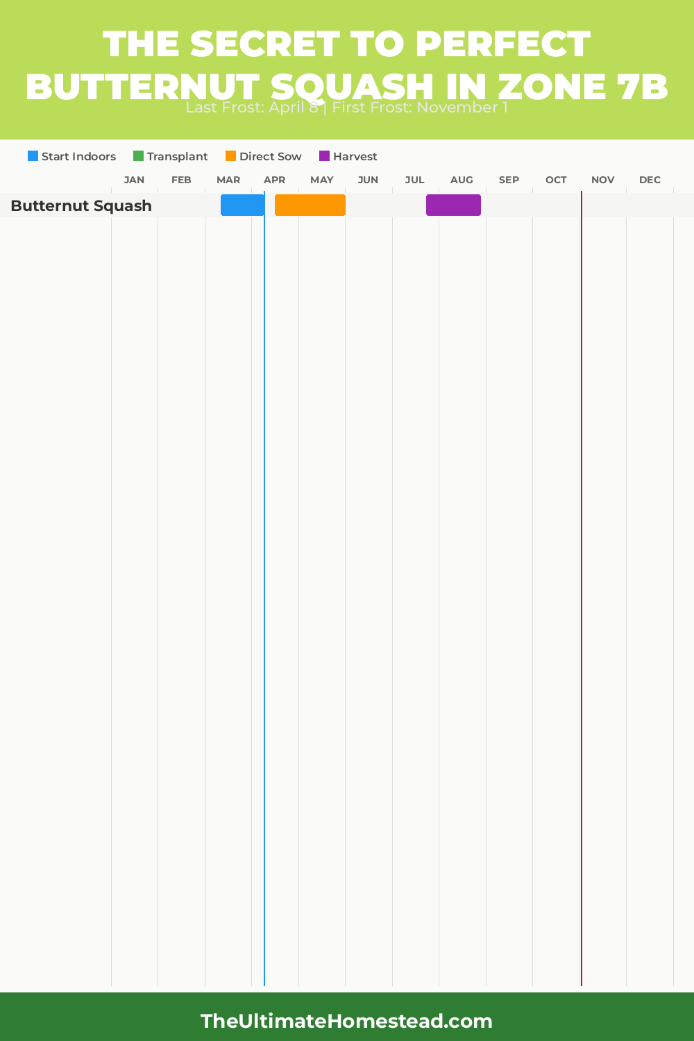 When to Plant Butternut Squash in Zone 7b
