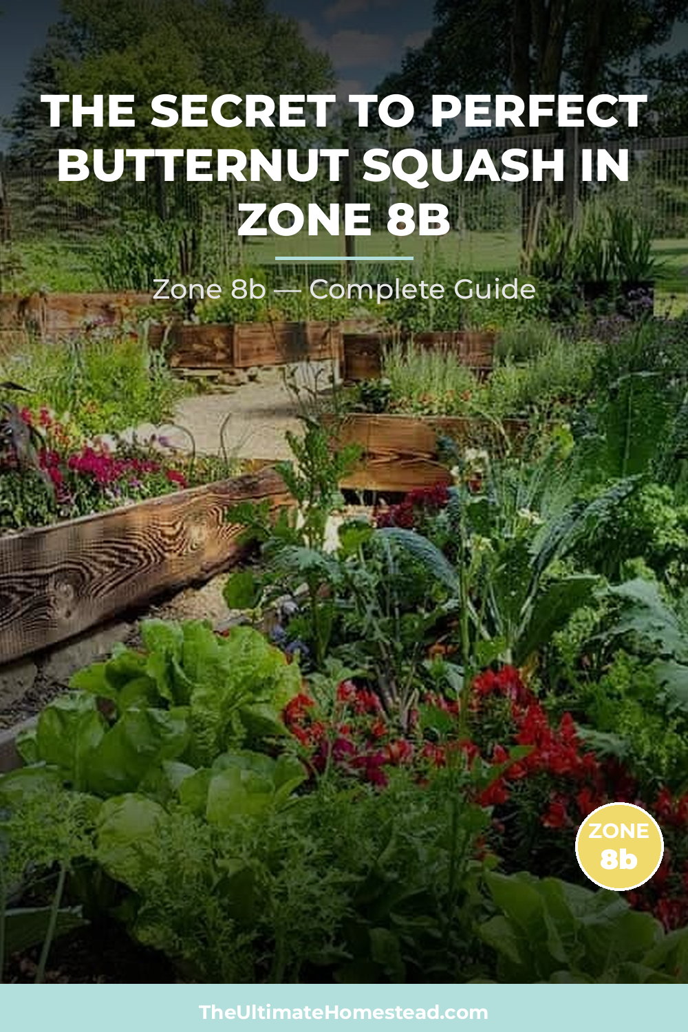 When to Plant Butternut Squash in Zone 8b