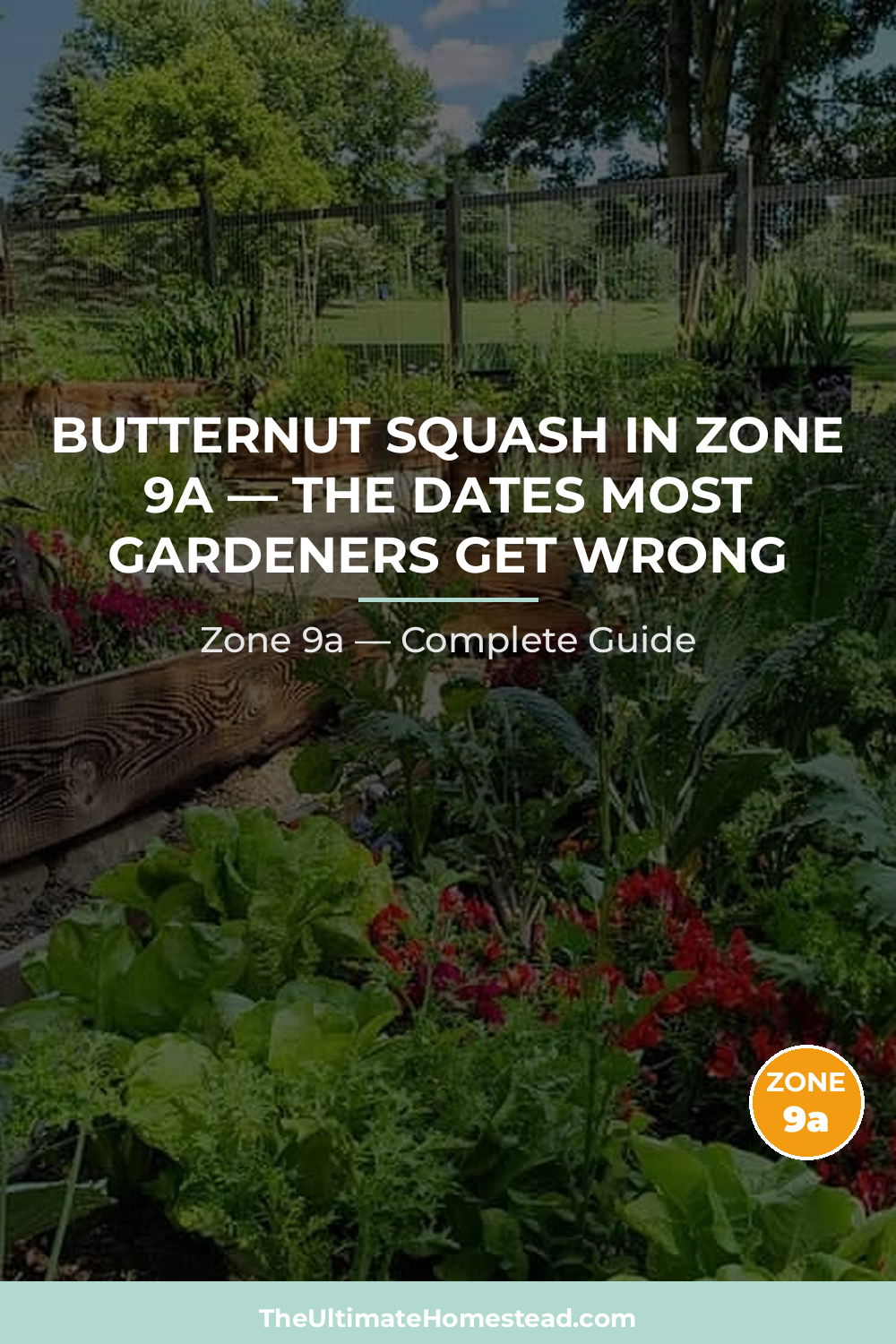 When to Plant Butternut Squash in Zone 9a