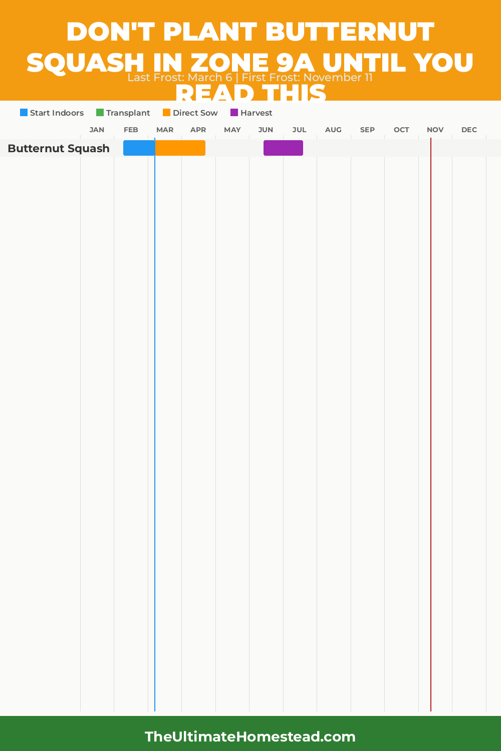 When to Plant Butternut Squash in Zone 9a