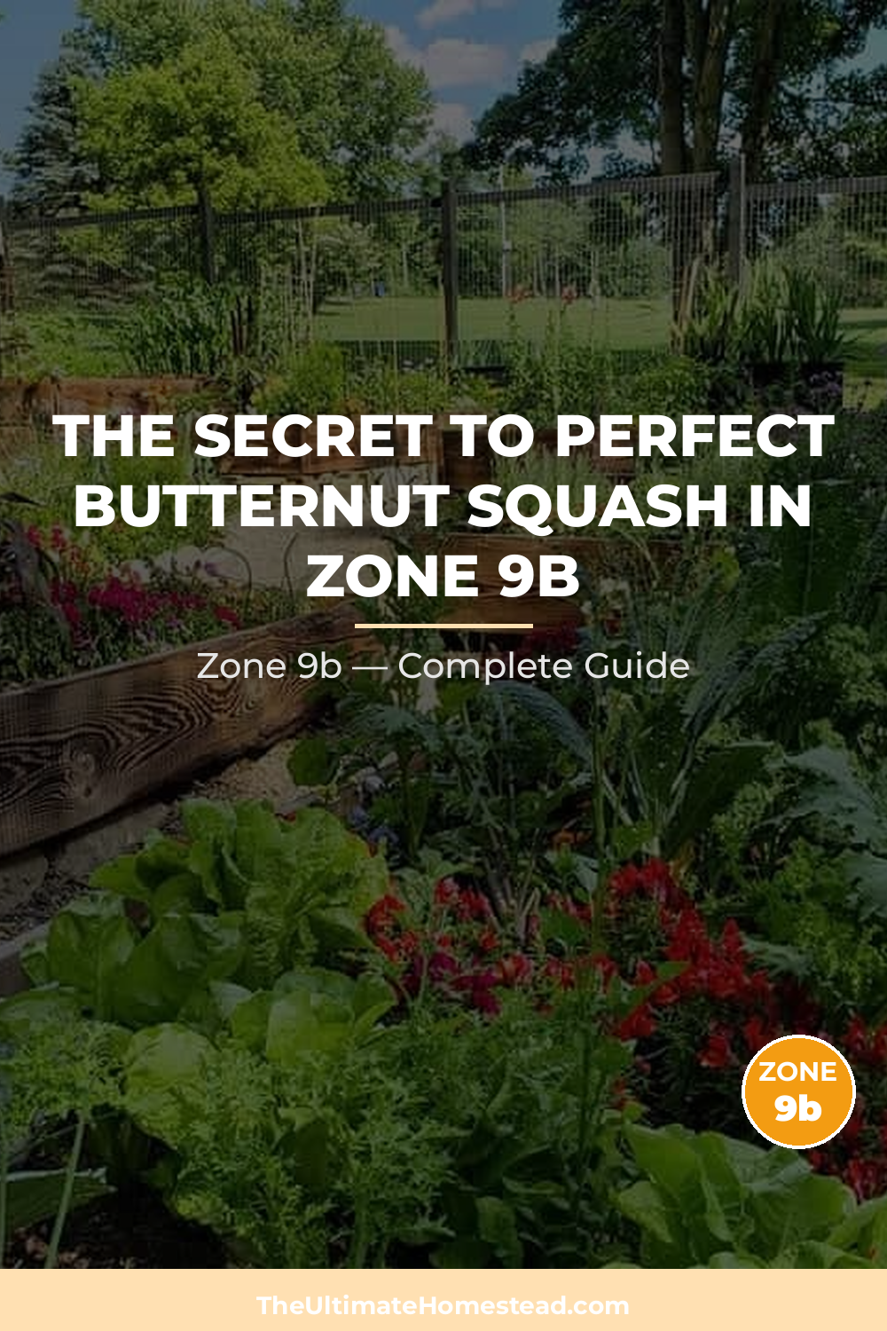 When to Plant Butternut Squash in Zone 9b