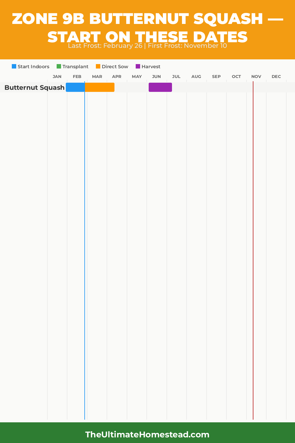 When to Plant Butternut Squash in Zone 9b
