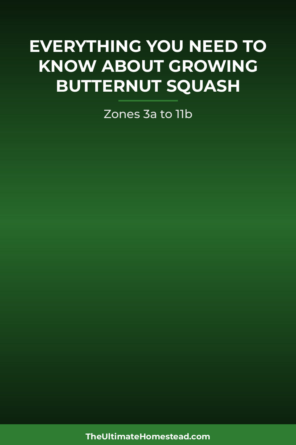 Butternut Squash Planting Guide