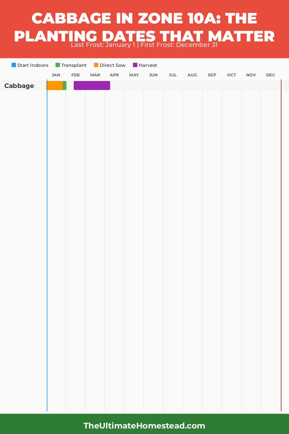 When to Plant Cabbage in Zone 10a