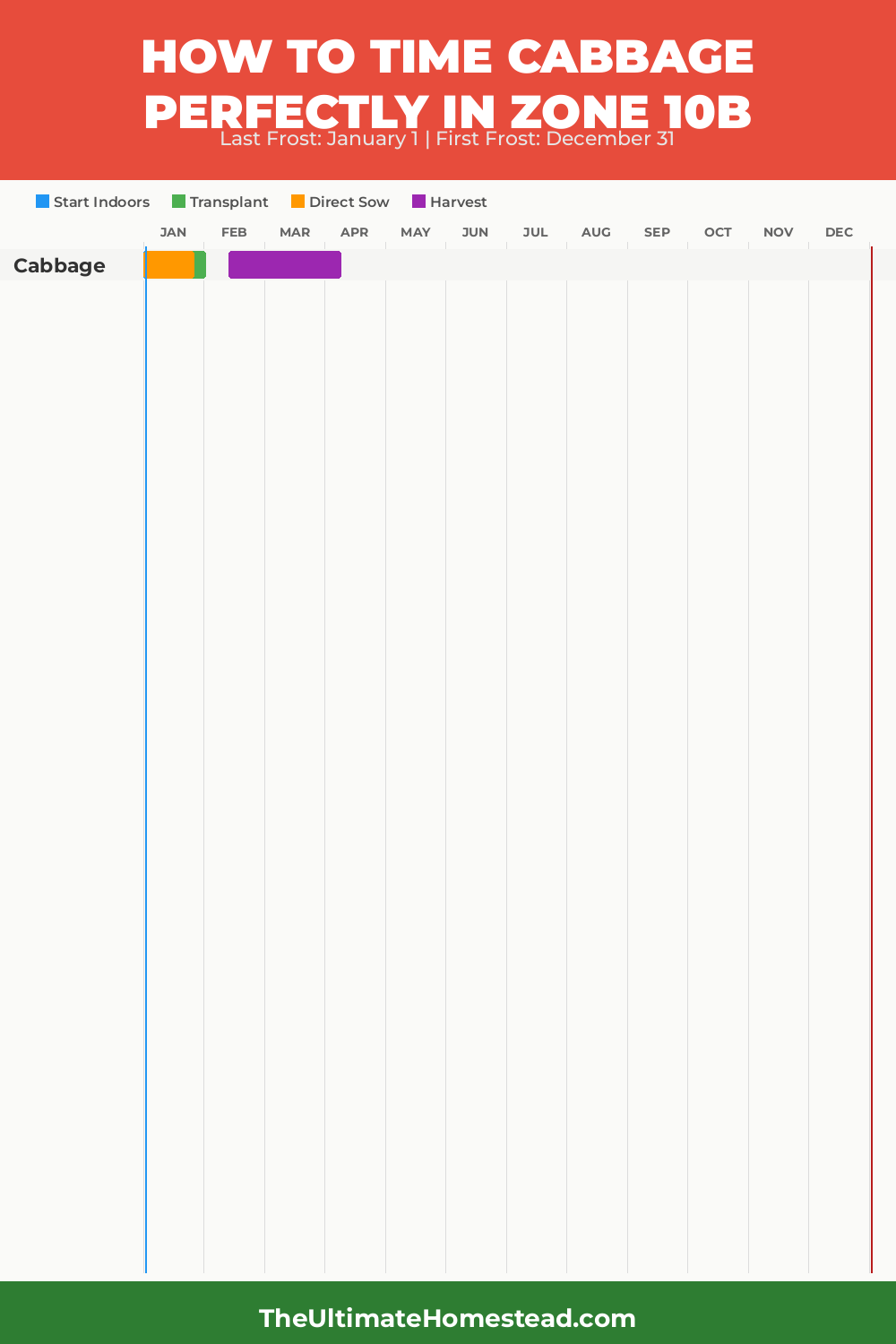 When to Plant Cabbage in Zone 10b