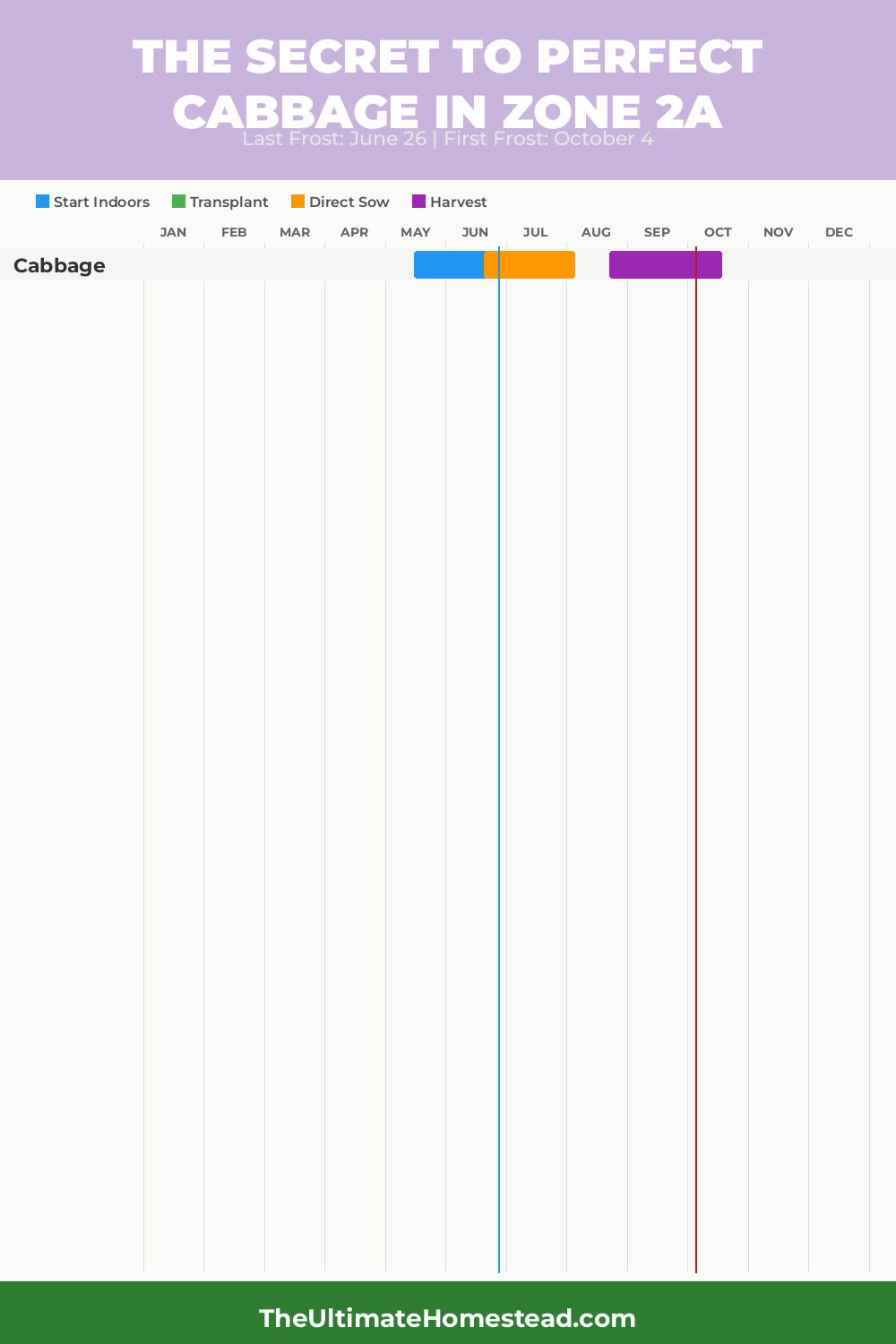 When to Plant Cabbage in Zone 2a