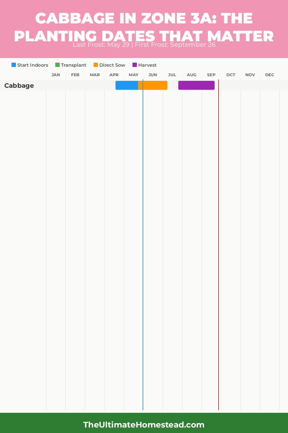 When to Plant Cabbage in Zone 3a