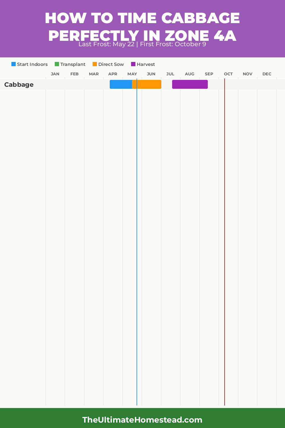 When to Plant Cabbage in Zone 4a