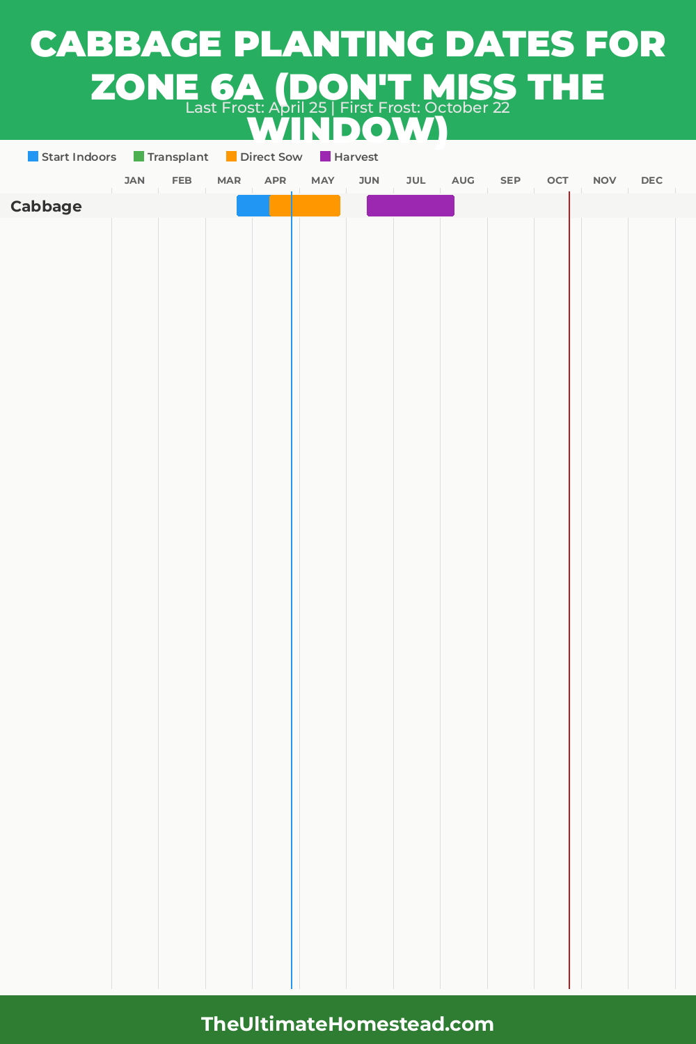 When to Plant Cabbage in Zone 6a