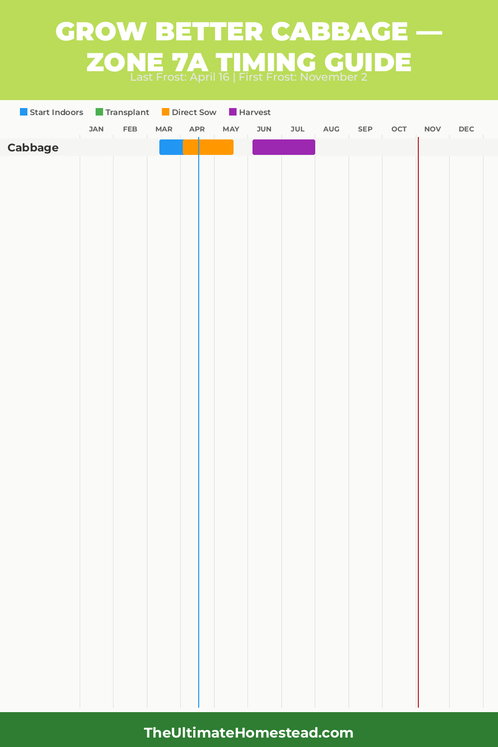 When to Plant Cabbage in Zone 7a
