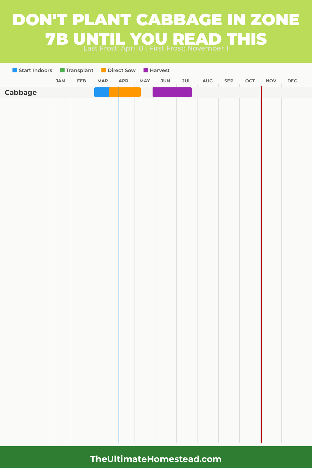 When to Plant Cabbage in Zone 7b