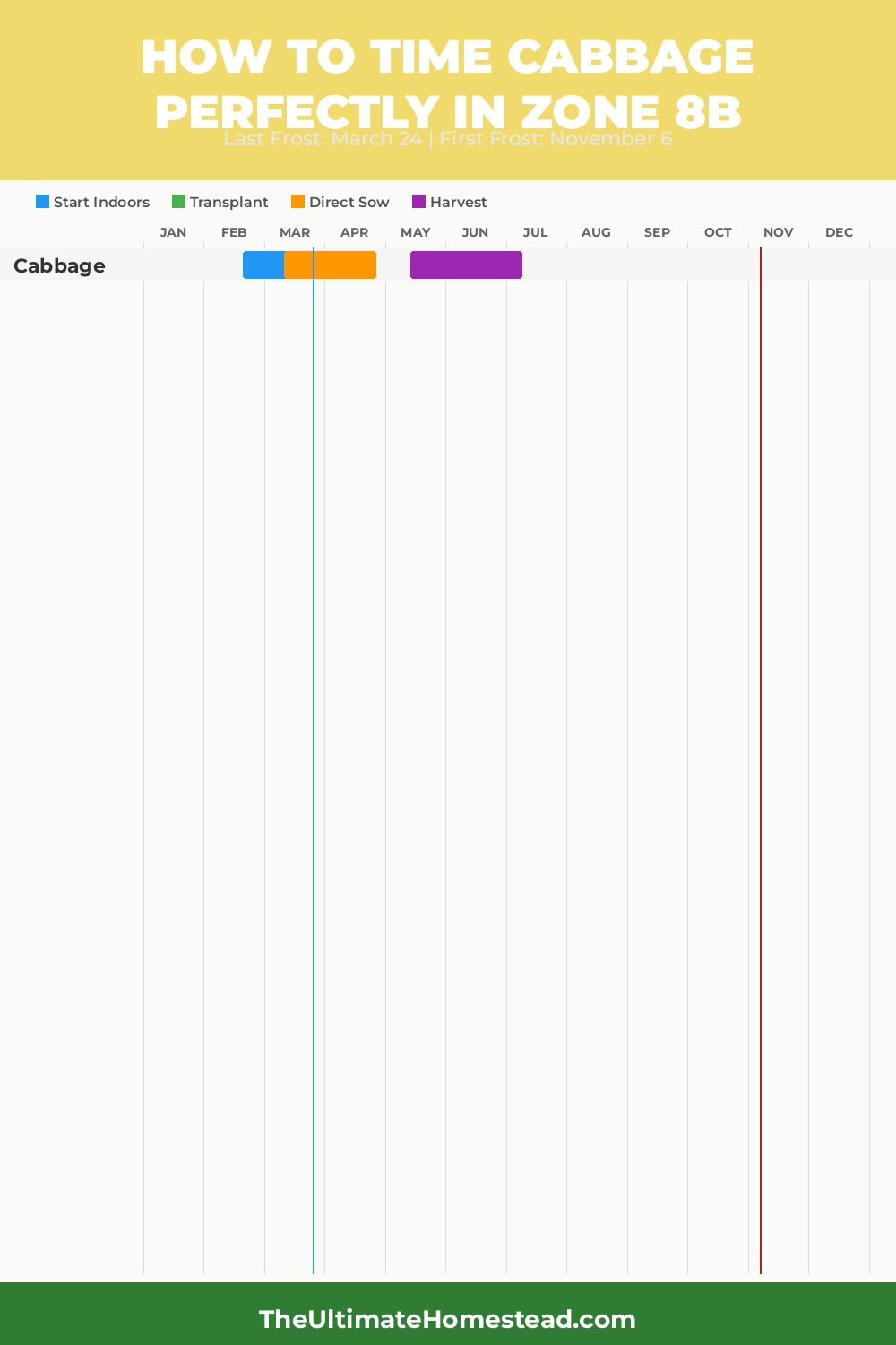When to Plant Cabbage in Zone 8b
