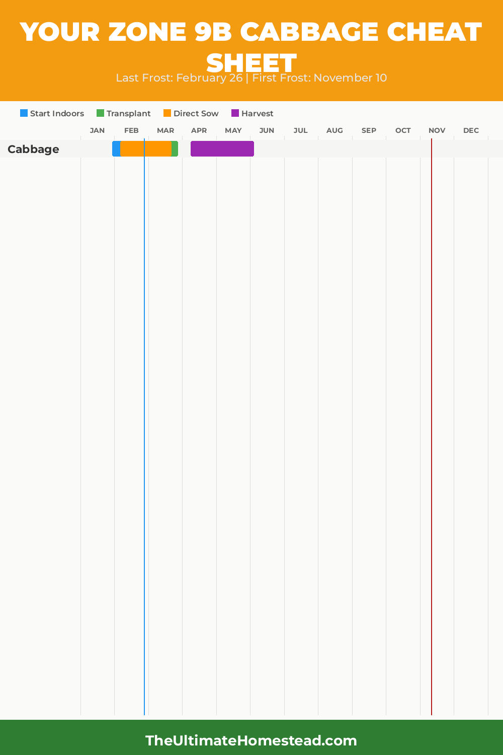 When to Plant Cabbage in Zone 9b