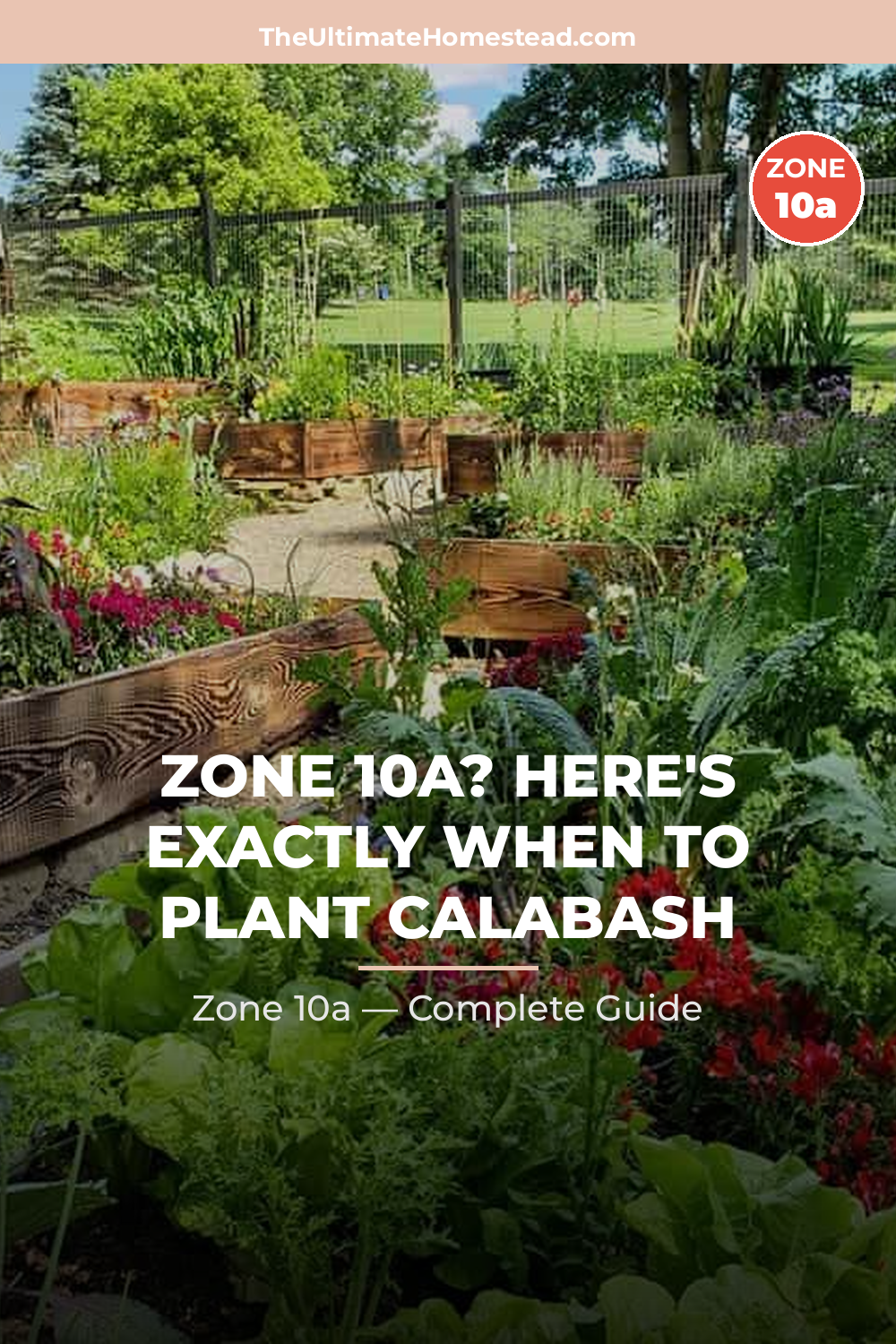 When to Plant Calabash in Zone 10a