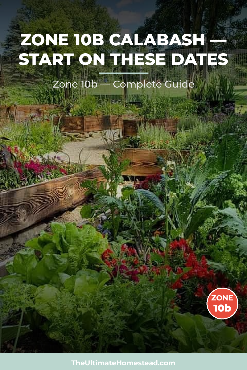 When to Plant Calabash in Zone 10b