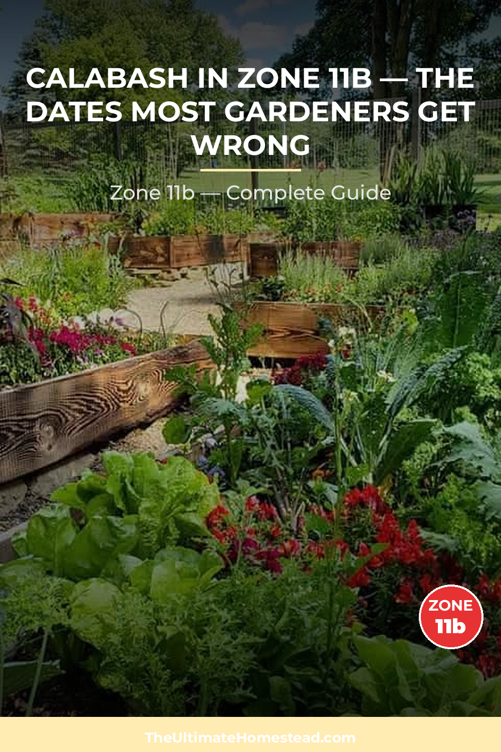 When to Plant Calabash in Zone 11b