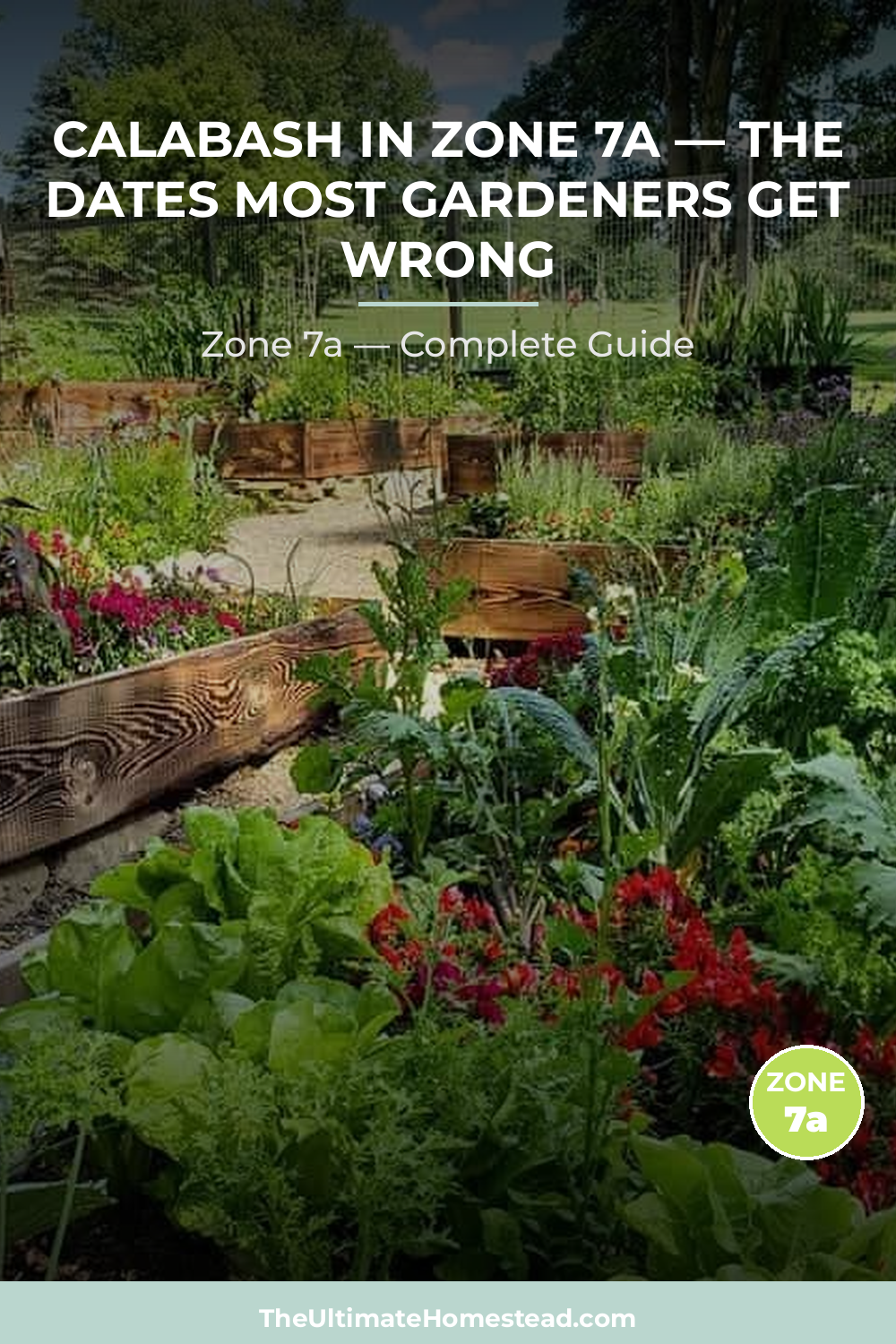When to Plant Calabash in Zone 7a