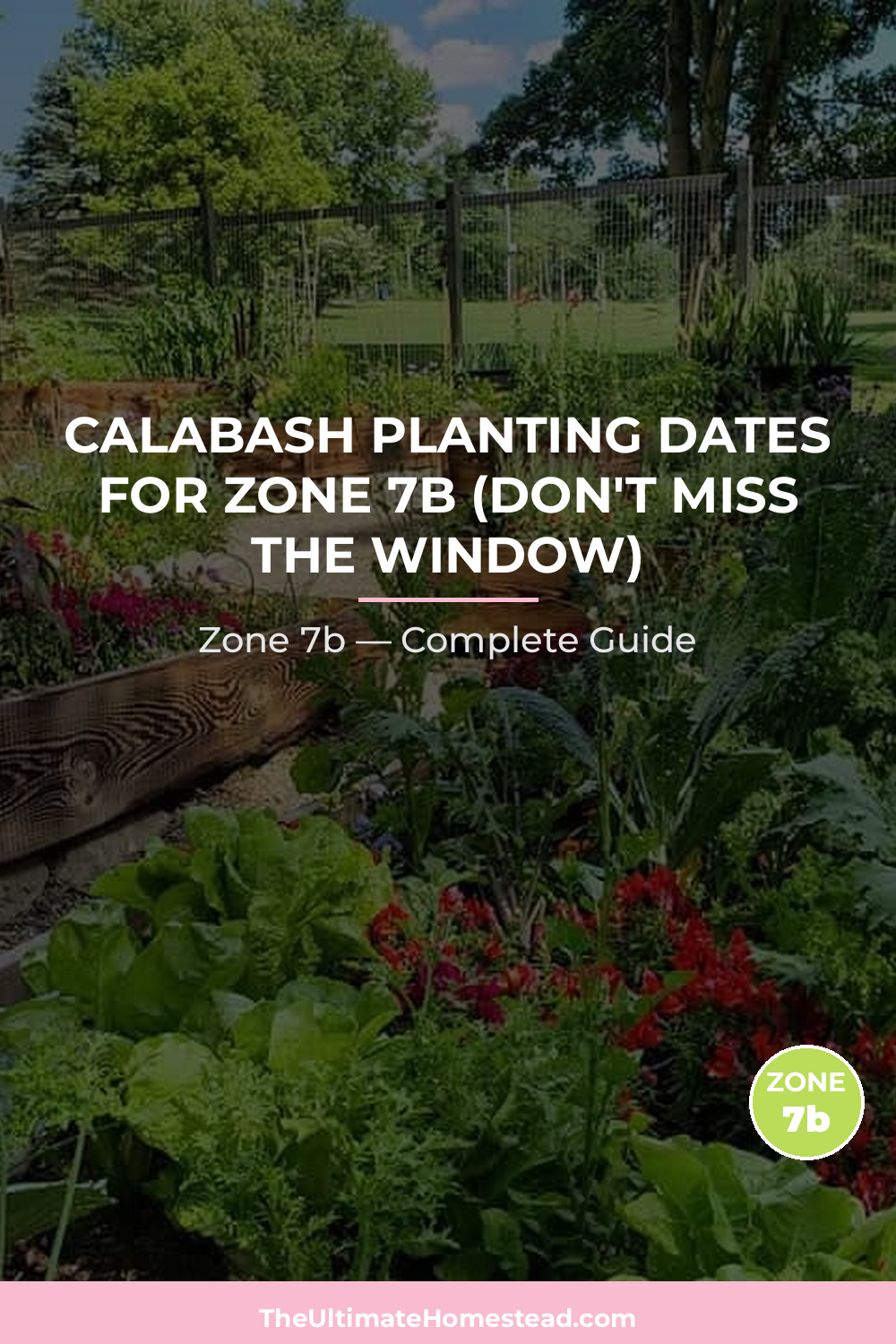 When to Plant Calabash in Zone 7b