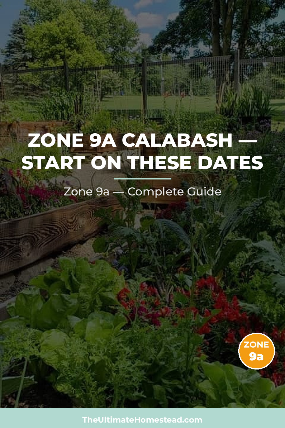 When to Plant Calabash in Zone 9a