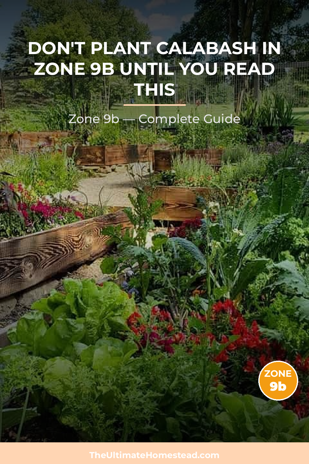 When to Plant Calabash in Zone 9b