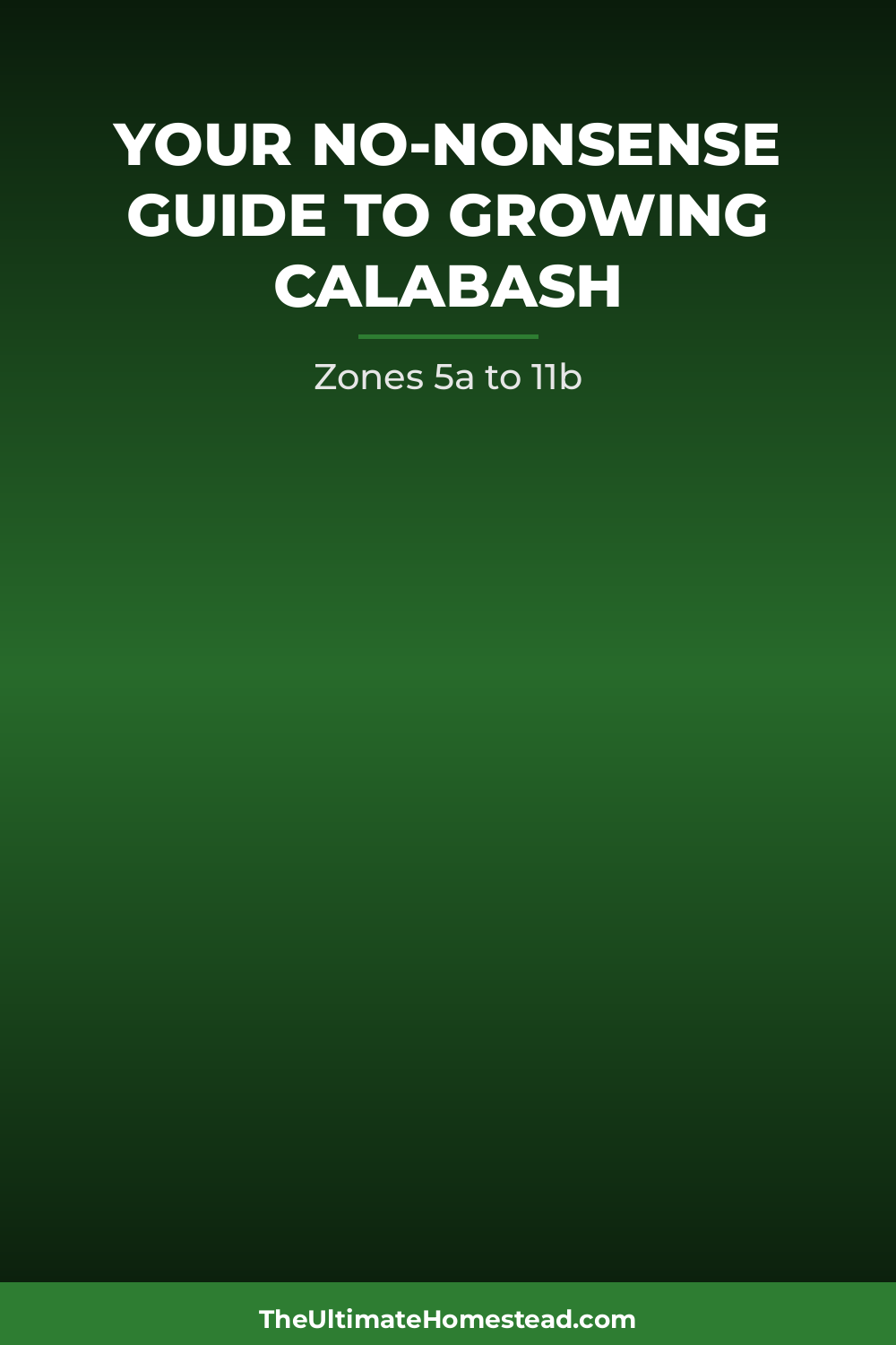 Calabash Planting Guide