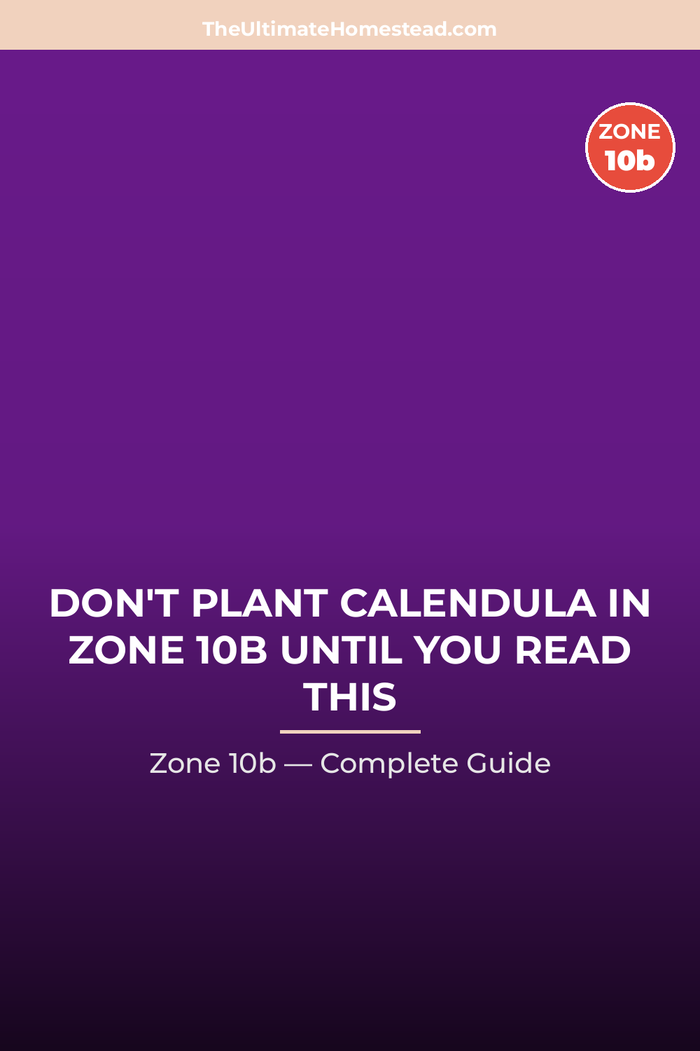 When to Plant Calendula in Zone 10b