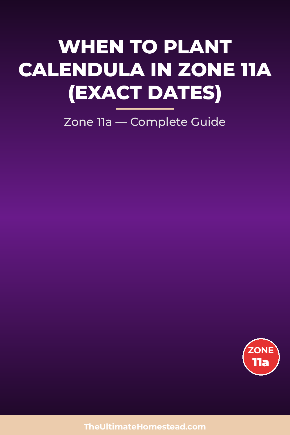 When to Plant Calendula in Zone 11a