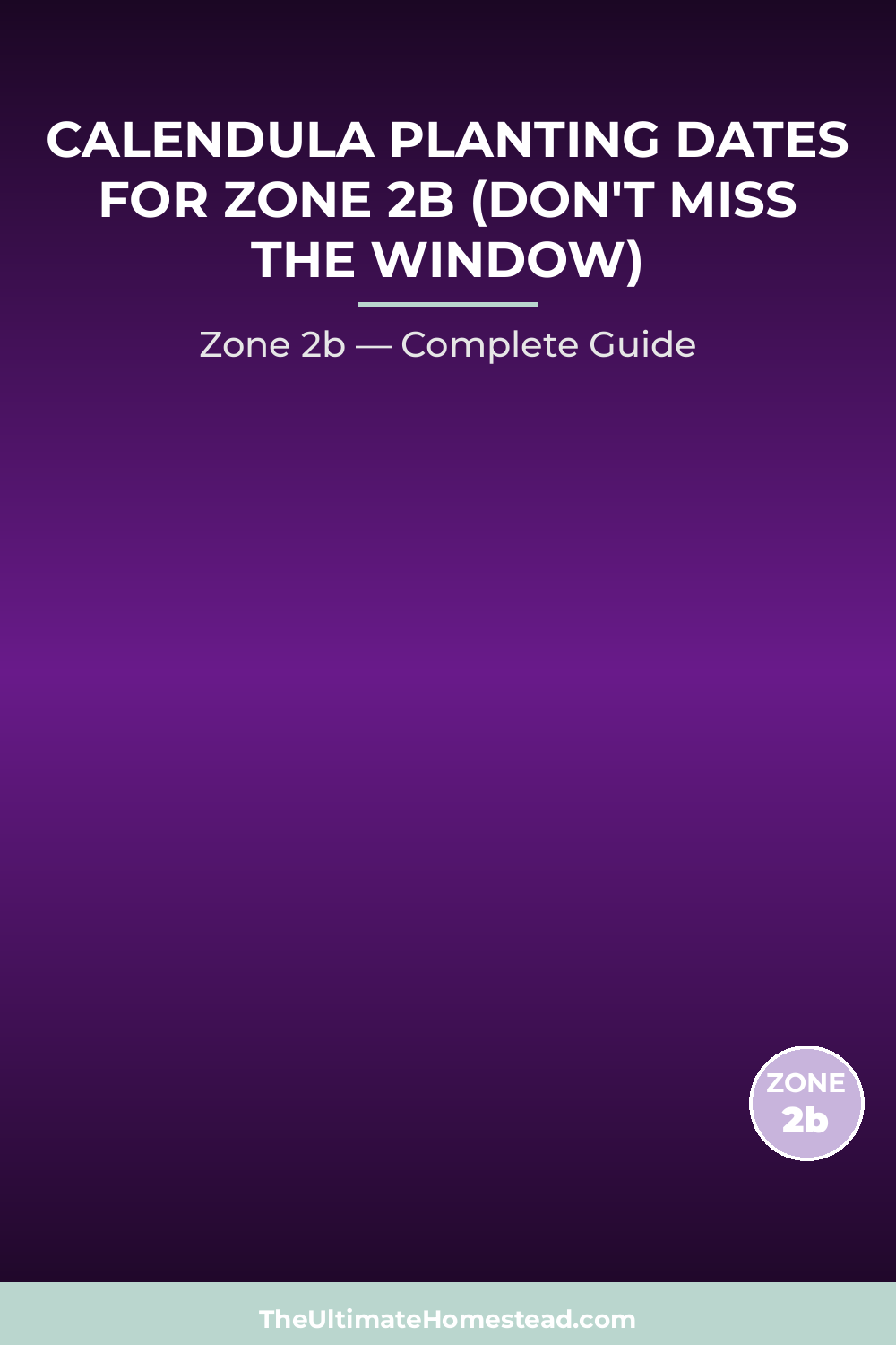 When to Plant Calendula in Zone 2b