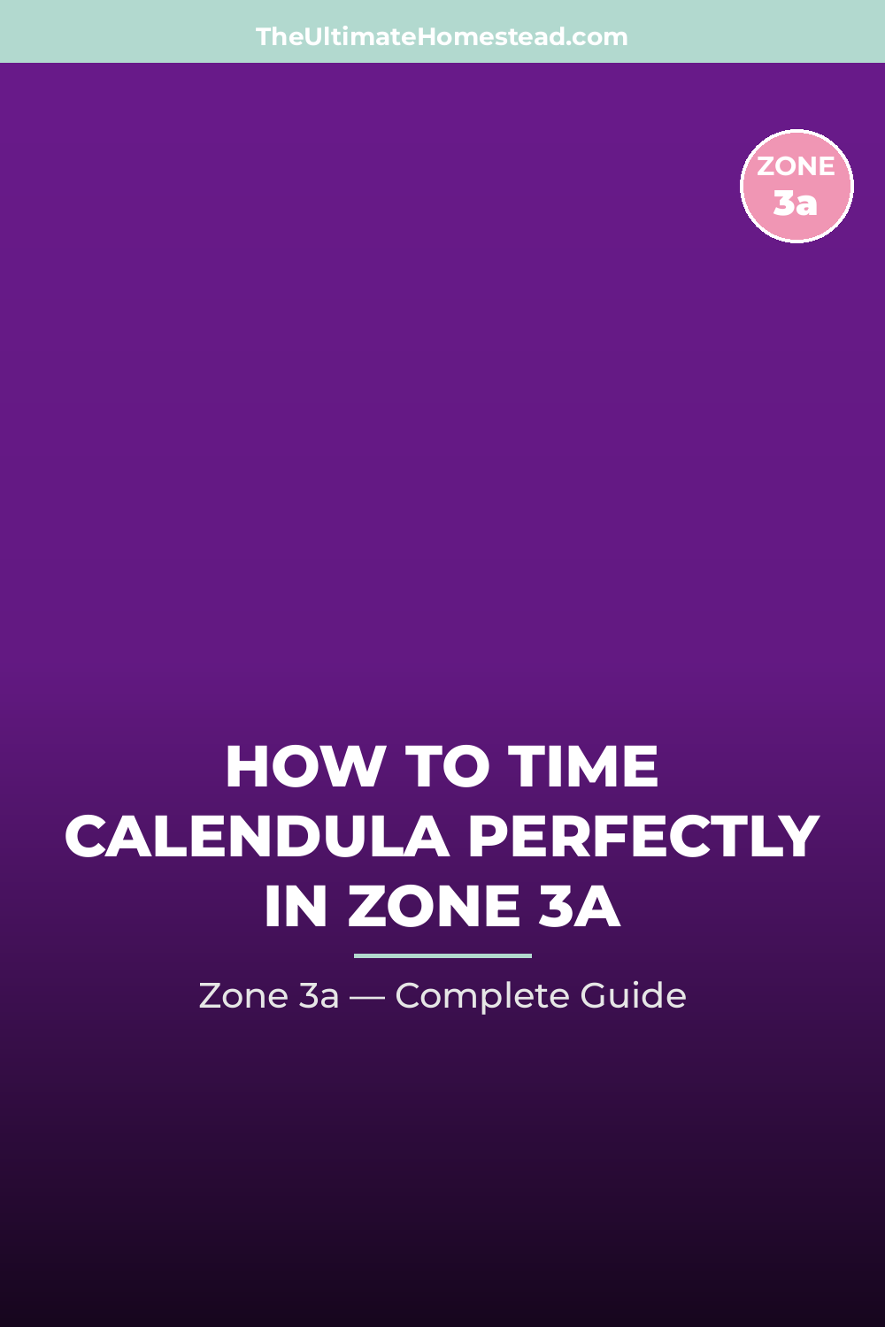 When to Plant Calendula in Zone 3a