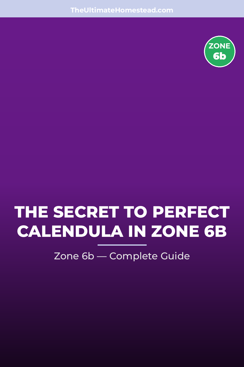 When to Plant Calendula in Zone 6b