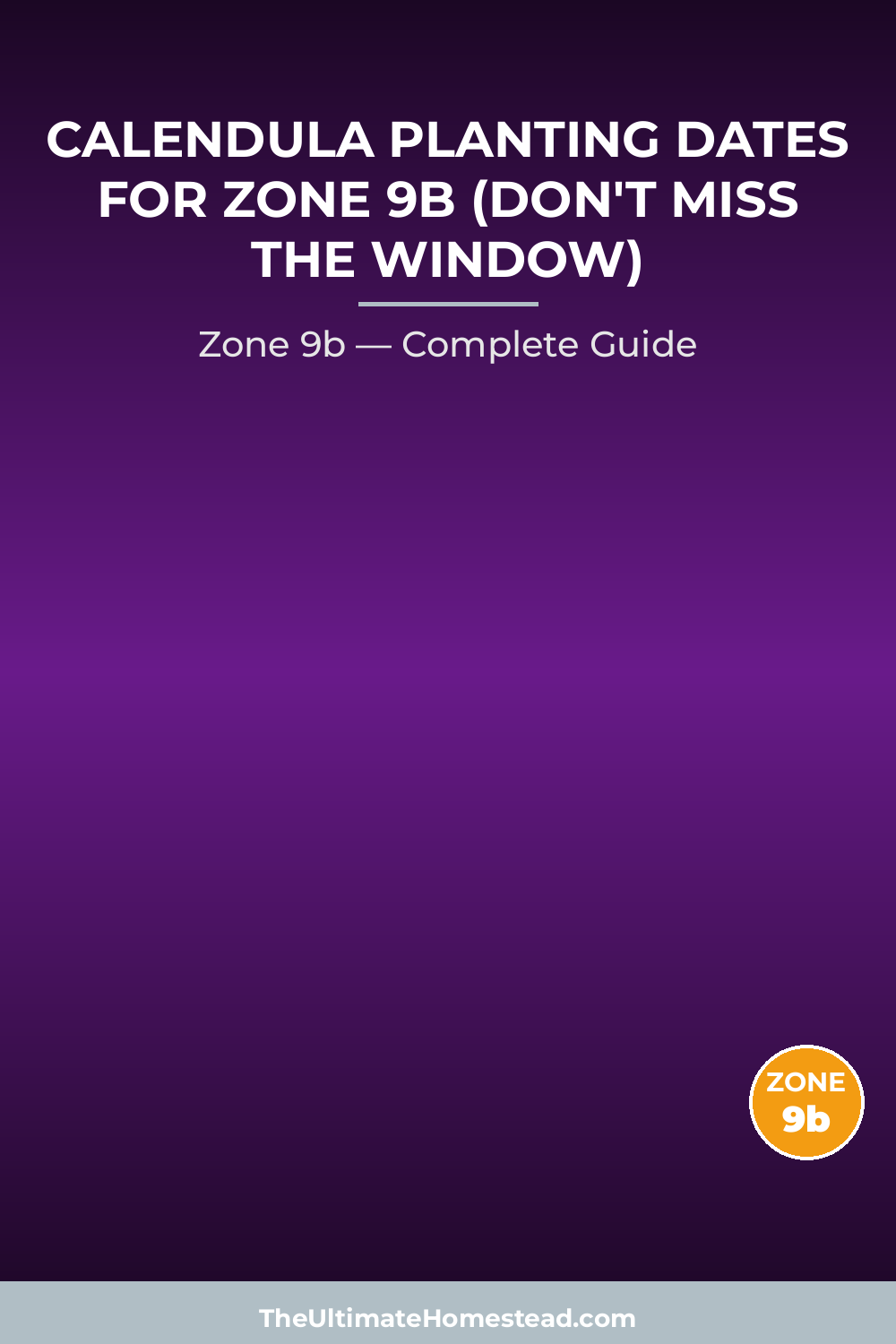 When to Plant Calendula in Zone 9b