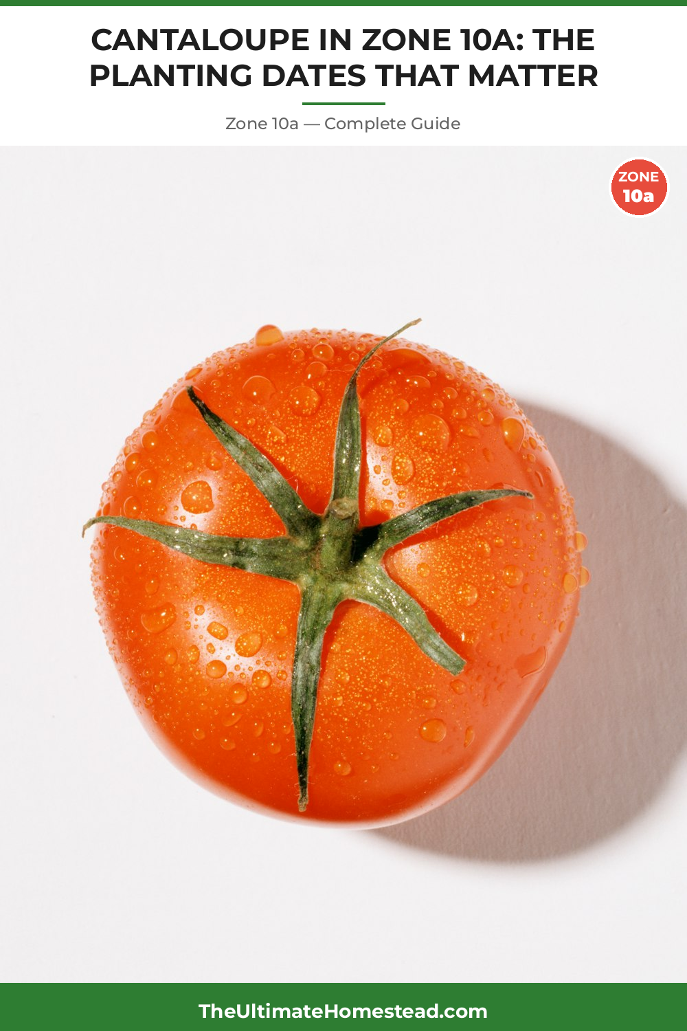 When to Plant Cantaloupe in Zone 10a