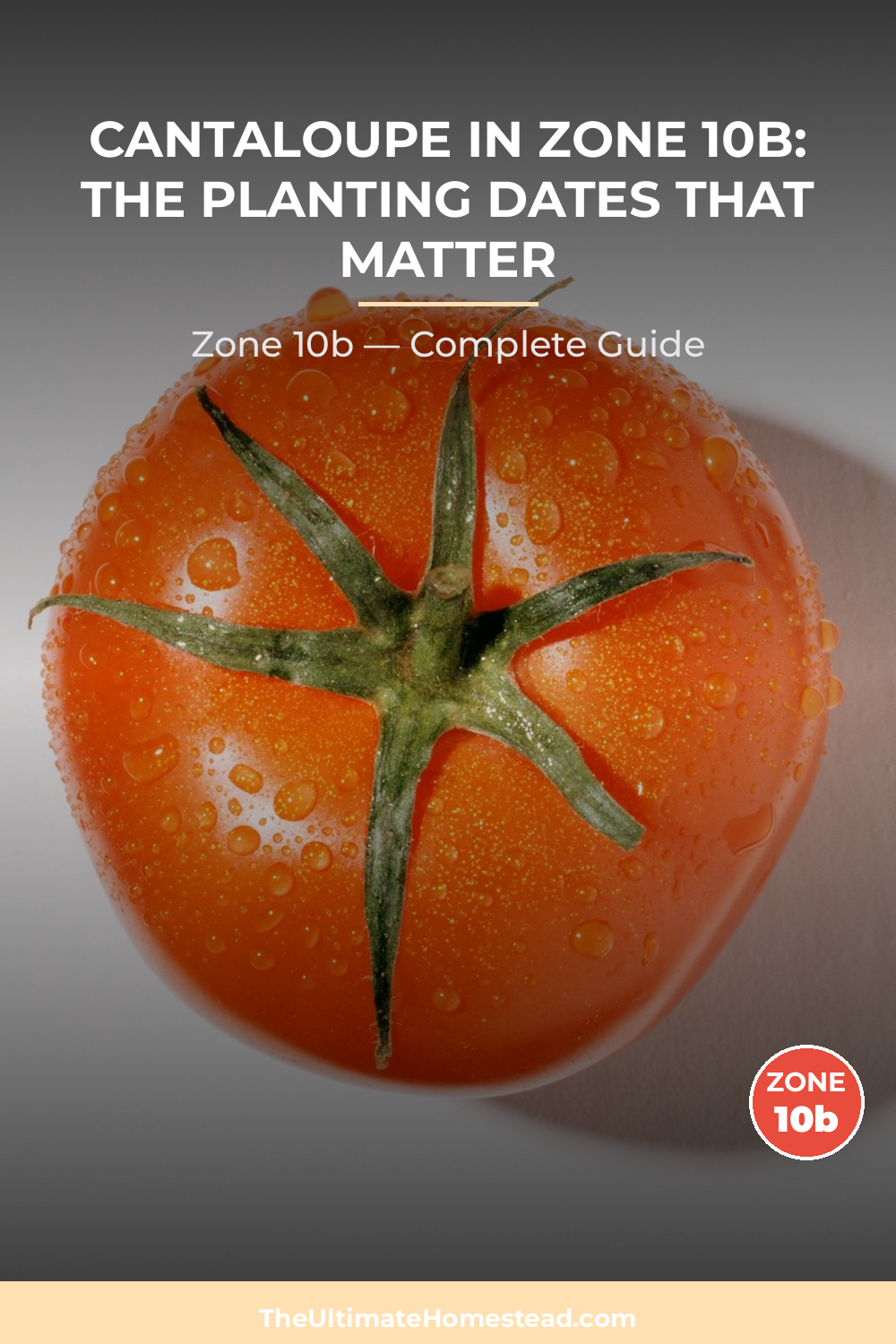 When to Plant Cantaloupe in Zone 10b