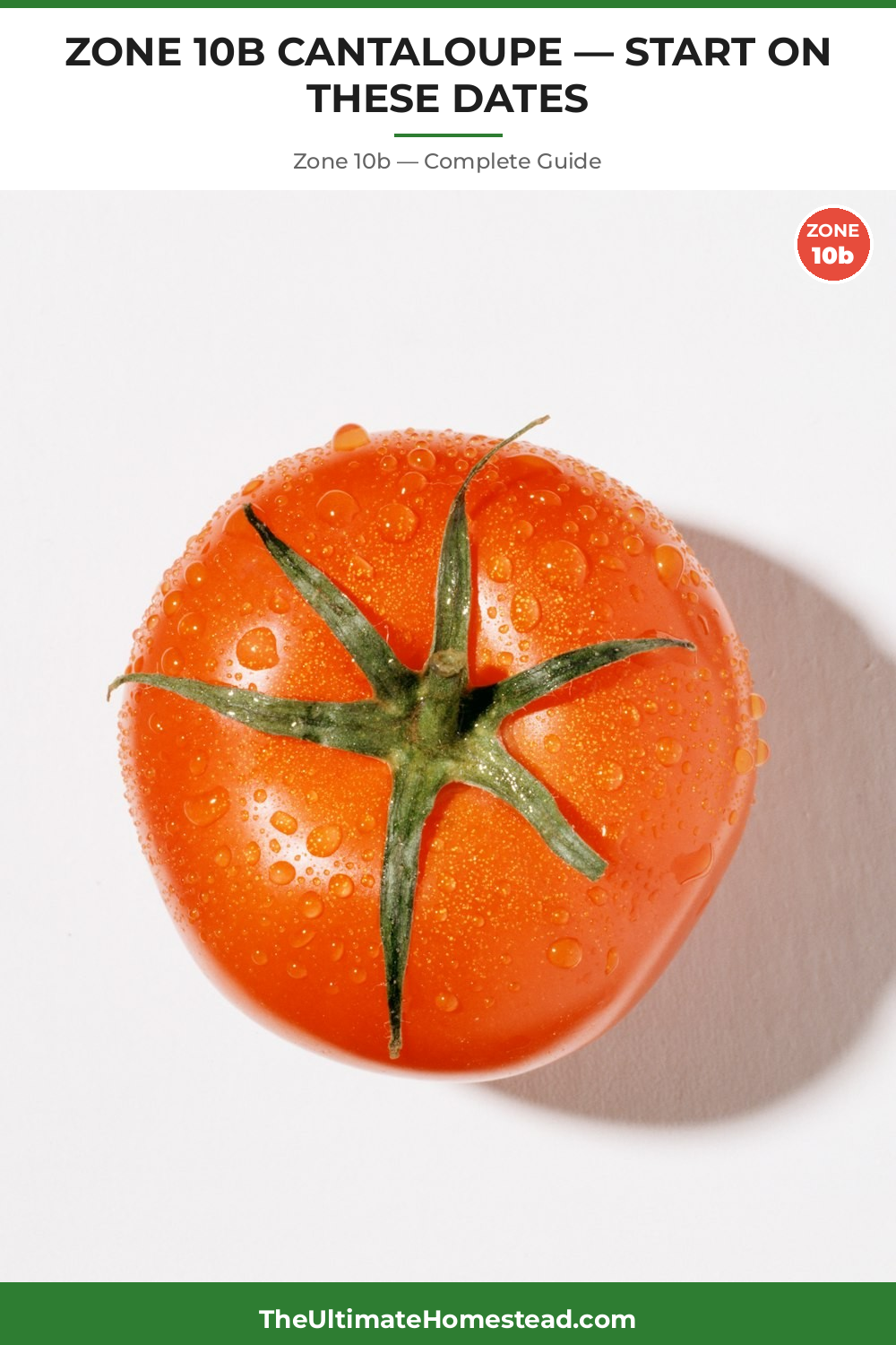 When to Plant Cantaloupe in Zone 10b
