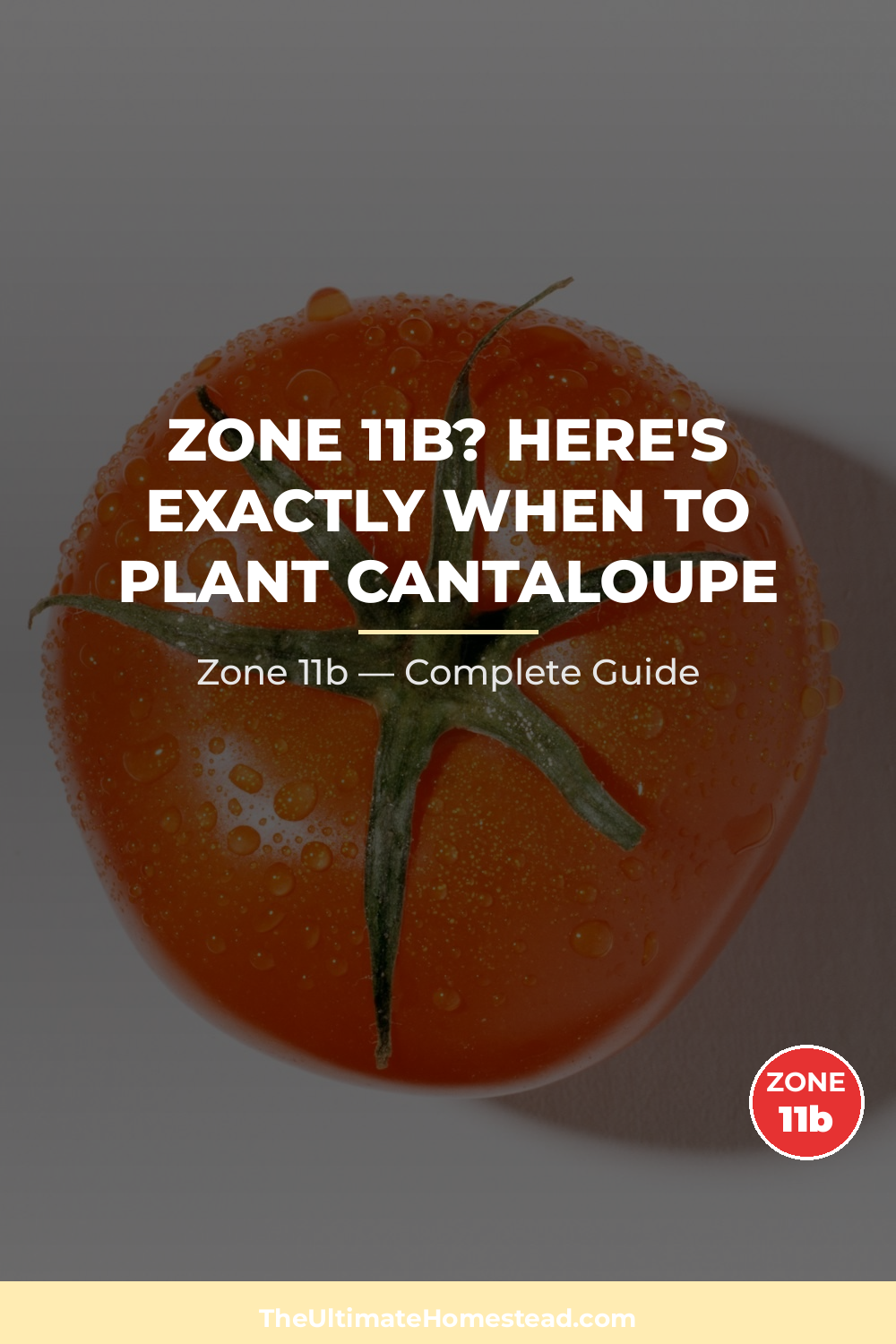 When to Plant Cantaloupe in Zone 11b