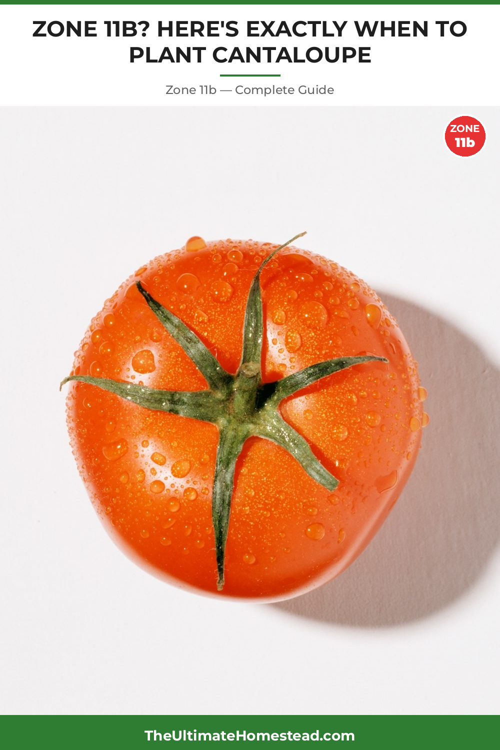 When to Plant Cantaloupe in Zone 11b