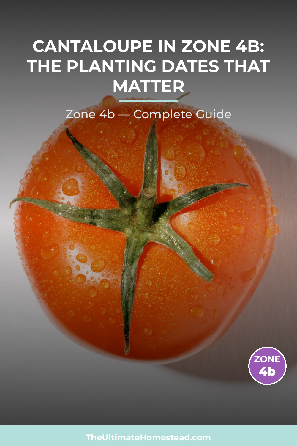 When to Plant Cantaloupe in Zone 4b